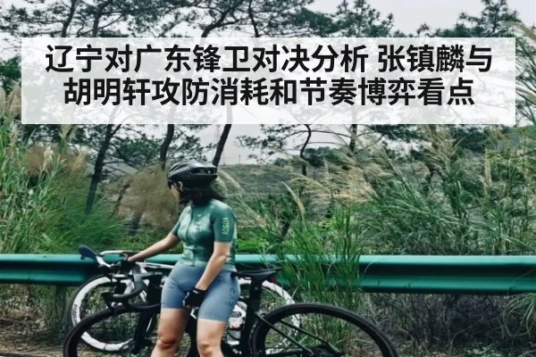 辽宁对广东锋卫对决分析 张镇麟与胡明轩攻防消耗和节奏博弈看点 - AYX GAMING